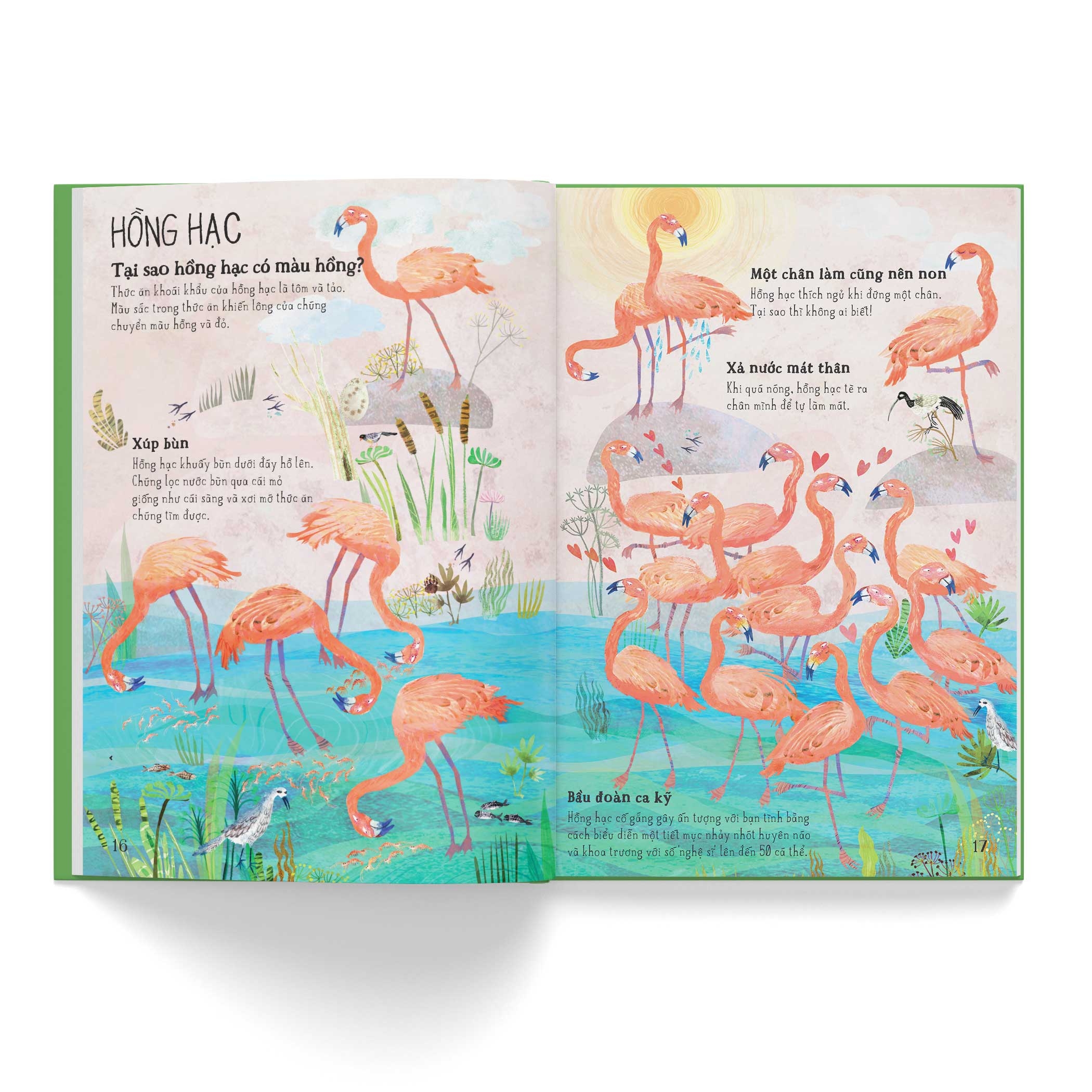 a lê hấp! thế giới chim - Ảnh 5