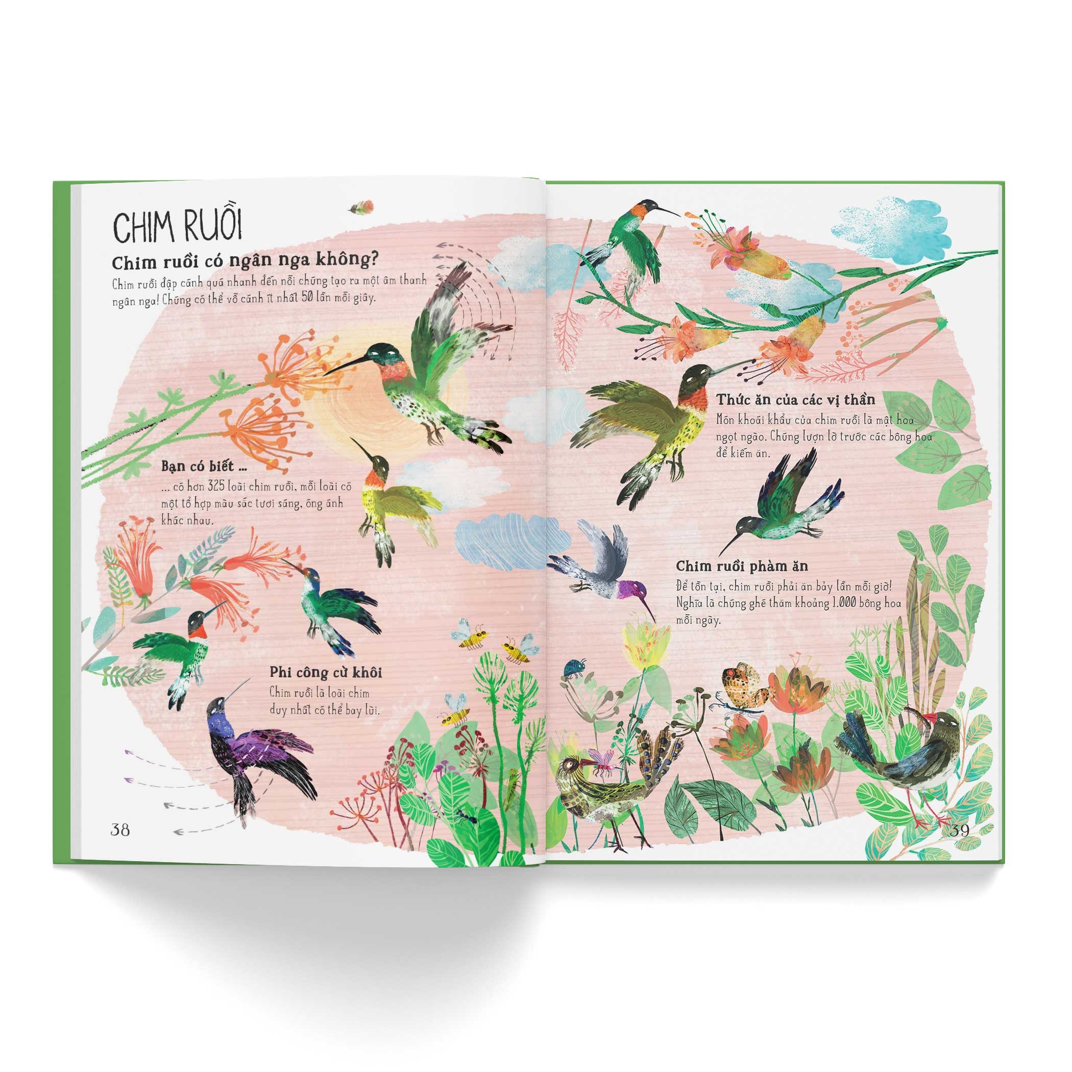 a lê hấp! thế giới chim - Ảnh 6