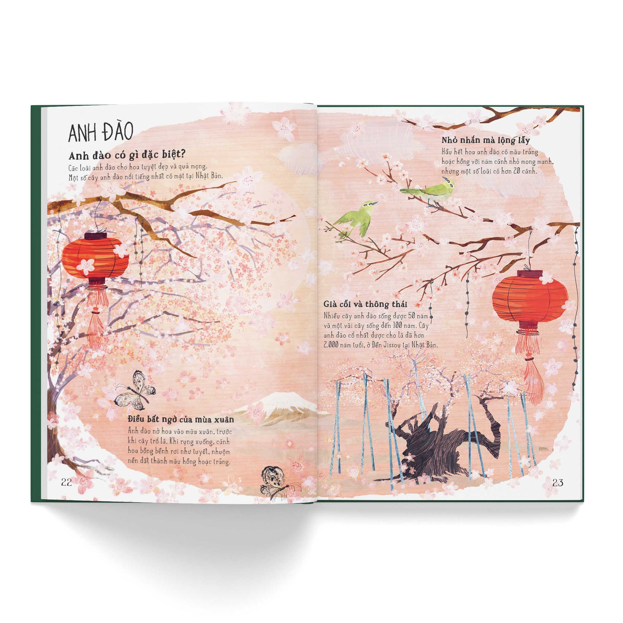 a lê hấp! thế giới hoa - Ảnh 5