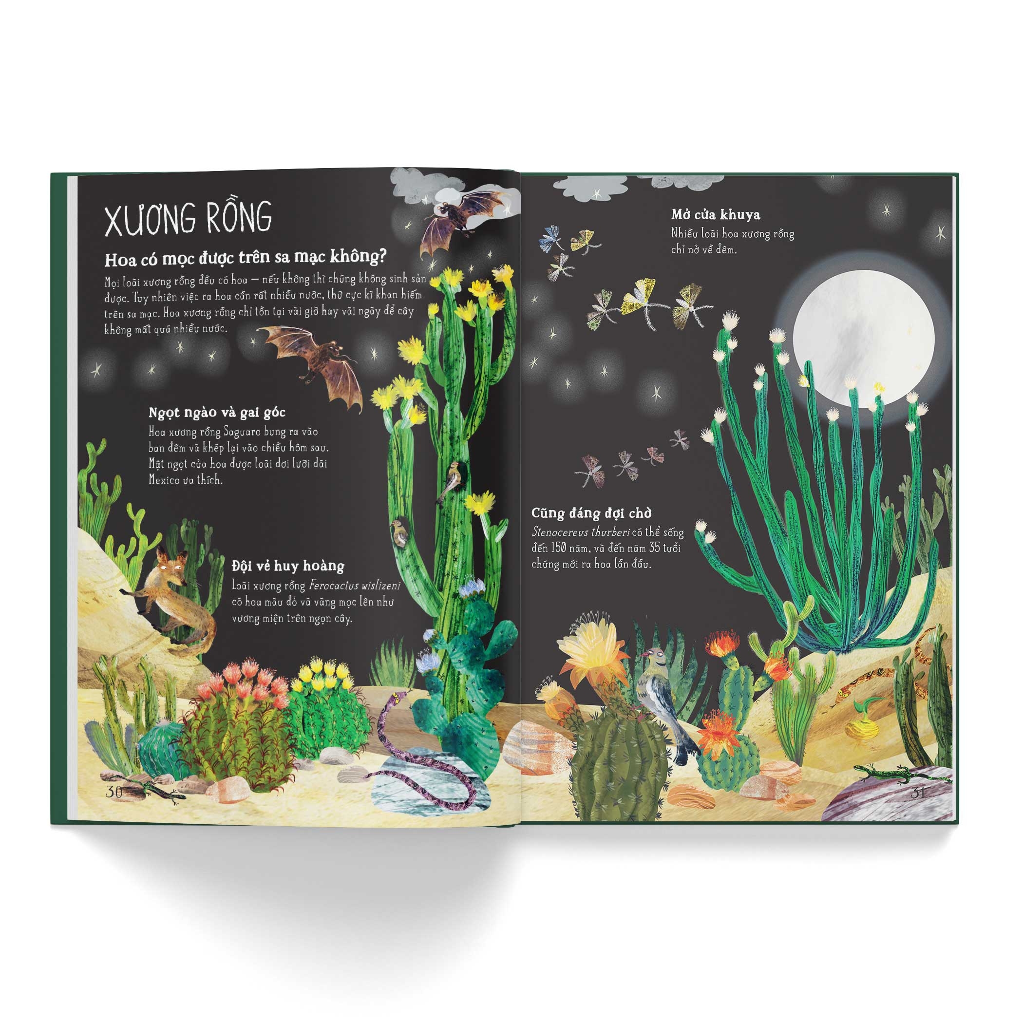 a lê hấp! thế giới hoa - Ảnh 6