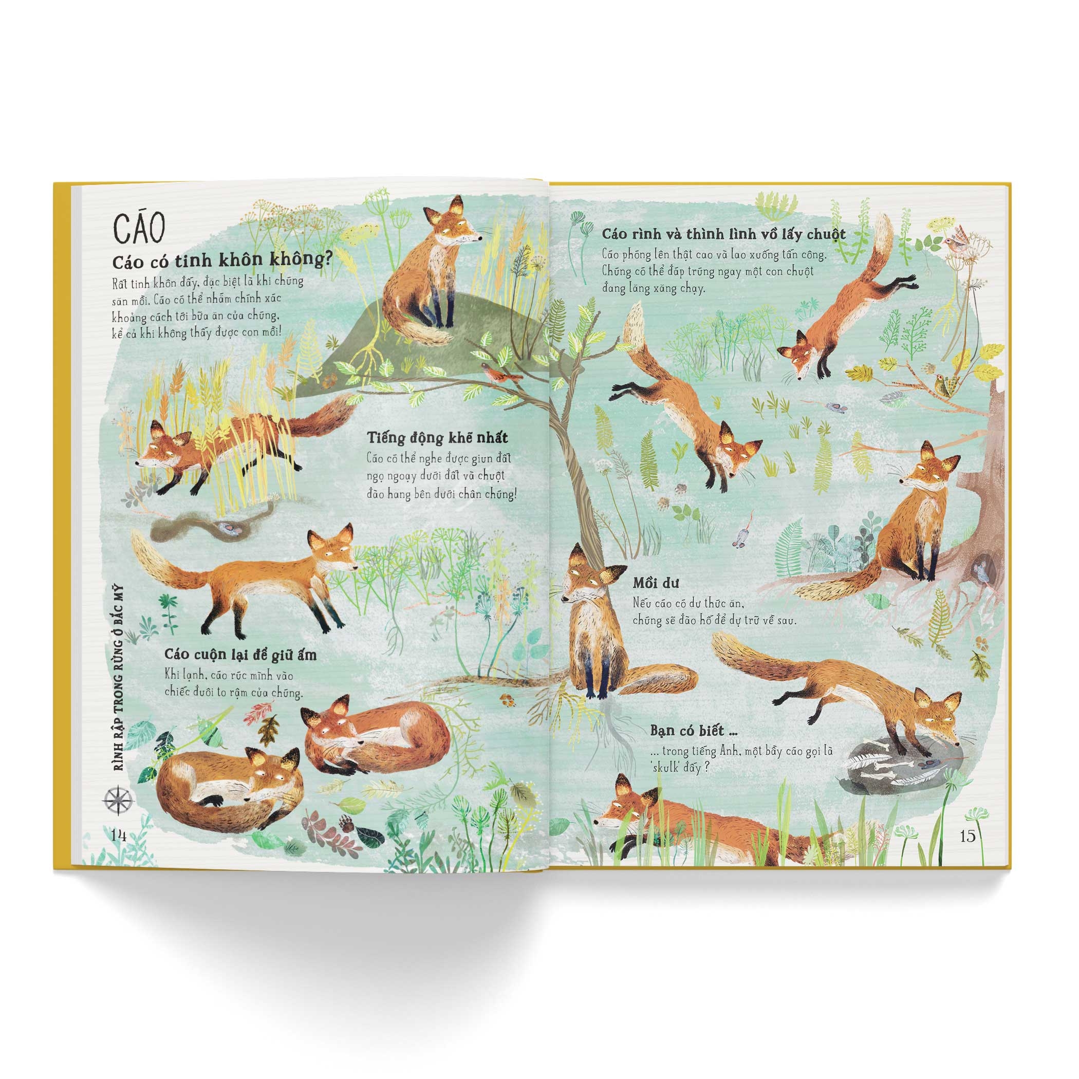 a lê hấp! thế giới thú dữ - Ảnh 4