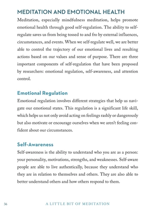 a little bit of meditation: an introduction to mindfulness - Ảnh 7