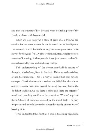 a love letter to the earth - Ảnh 7