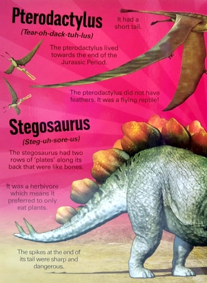 a mega sound book: roar! 10-button sound book - Ảnh 3