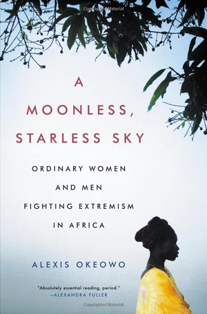 a moonless, starless sky: ordinary women and men fighting extremism in africa - Ảnh 2
