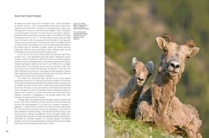 a perfect planet - Ảnh 4