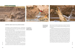 a perfect planet - Ảnh 5