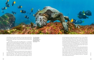 a perfect planet - Ảnh 6