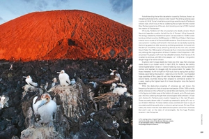 a perfect planet - Ảnh 7