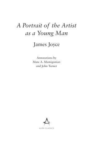 a portrait of the artist as a young man - Ảnh 2