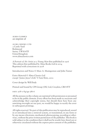 a portrait of the artist as a young man - Ảnh 3