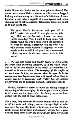 a raisin in the sun: the unfilmed original screenplay (plume) - Ảnh 14