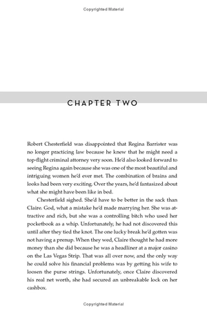 a robin lockwood novel 3: a reasonable doubt - Ảnh 15