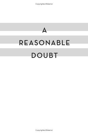 a robin lockwood novel 3: a reasonable doubt - Ảnh 3