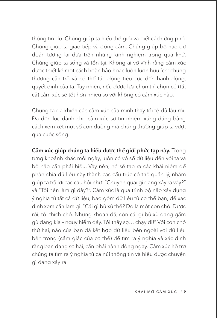 A Toolkit For Your Emotions - Khai Mở Cảm Xúc - Ảnh 8