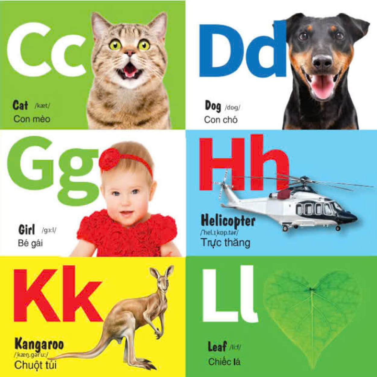 abc-colours-shapes - bảng chữ cái-màu sắc-hình dạng - Ảnh 6