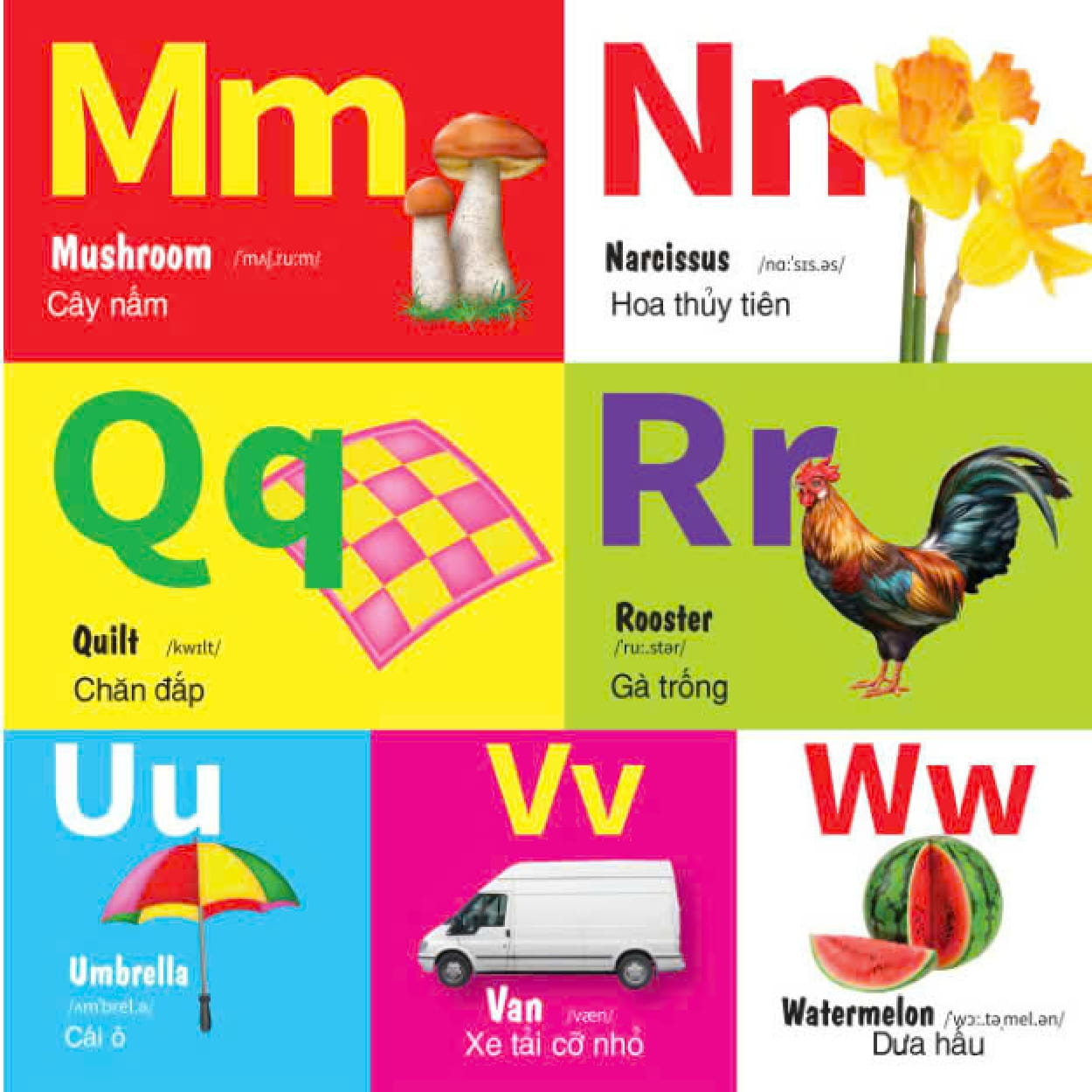 abc-colours-shapes - bảng chữ cái-màu sắc-hình dạng - Ảnh 9