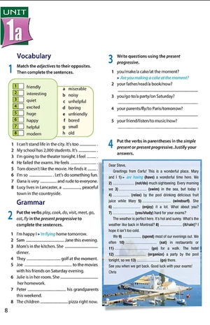 access grade 8 workbook - Ảnh 3