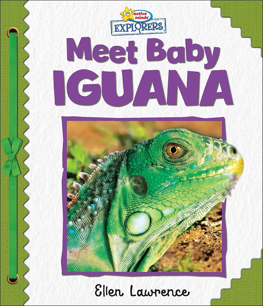 Active Minds Explorers - Meet Baby Iguana - Ảnh 2