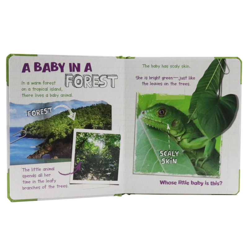Active Minds Explorers - Meet Baby Iguana - Ảnh 3