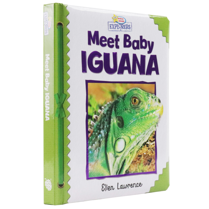 Active Minds Explorers - Meet Baby Iguana - Ảnh 5