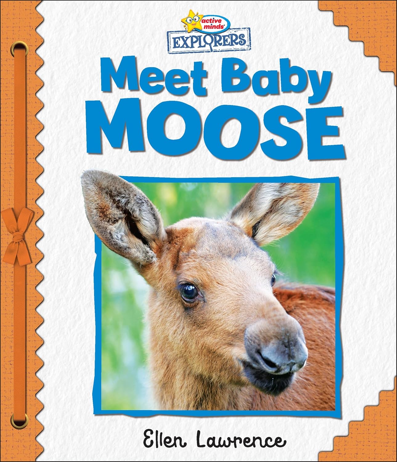 Active Minds Explorers - Meet Baby Moose - Ảnh 2