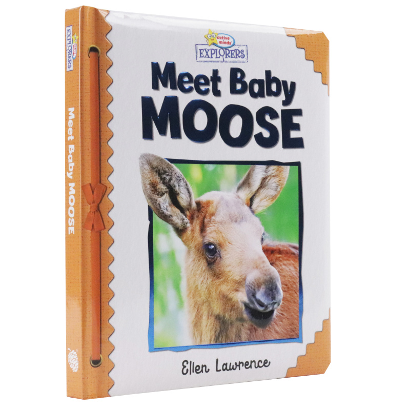 Active Minds Explorers - Meet Baby Moose - Ảnh 5