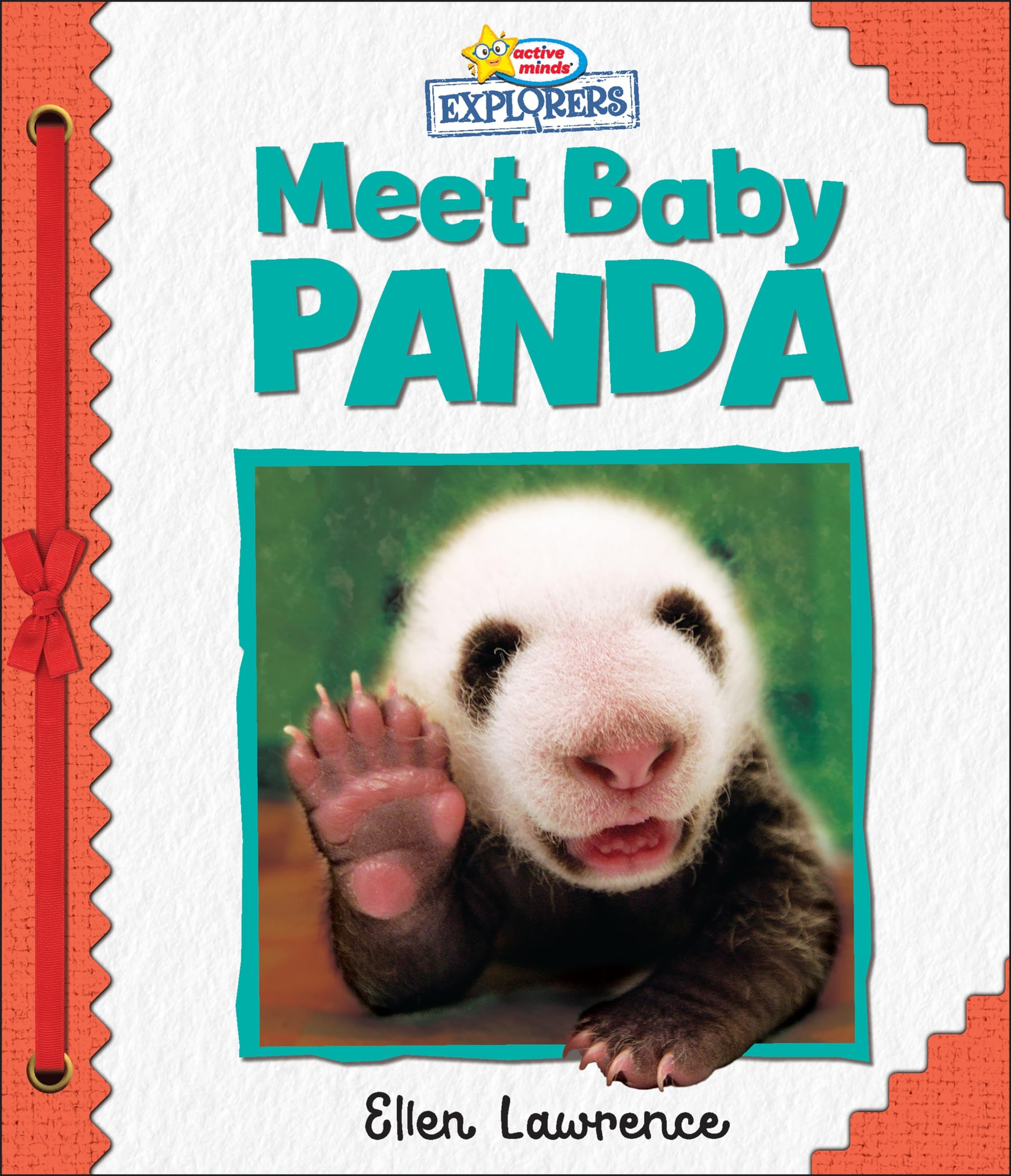 Active Minds Explorers - Meet Baby Panda - Ảnh 2