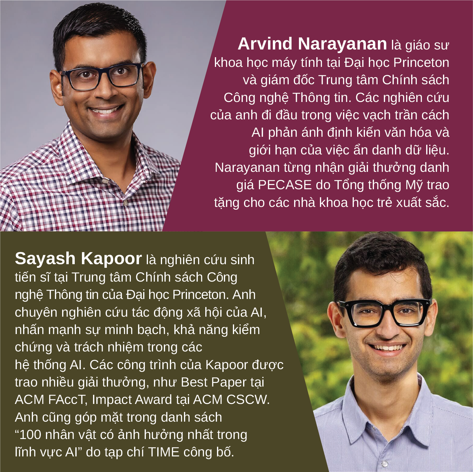 AI - Lợi và Hại - AI Snake Oil - Ảnh 8