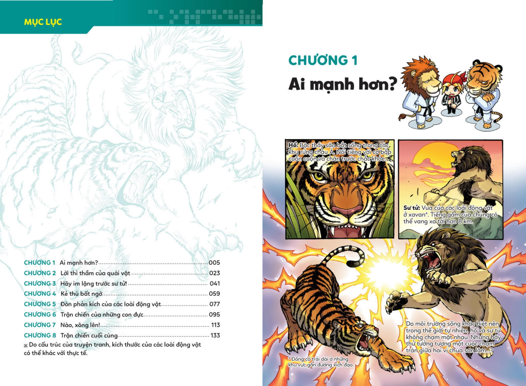 ai mạnh hơn? - sư tử vs. hổ - trận chiến của chúa sơn lâm - tặng kèm sticker - Ảnh 5