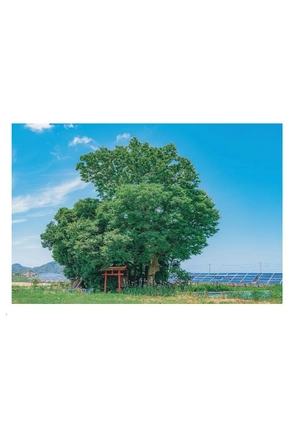 akine coco 写真作品集 アニメのワンシーンのように。- akine coco photograph collection like a scene from an anime - Ảnh 7