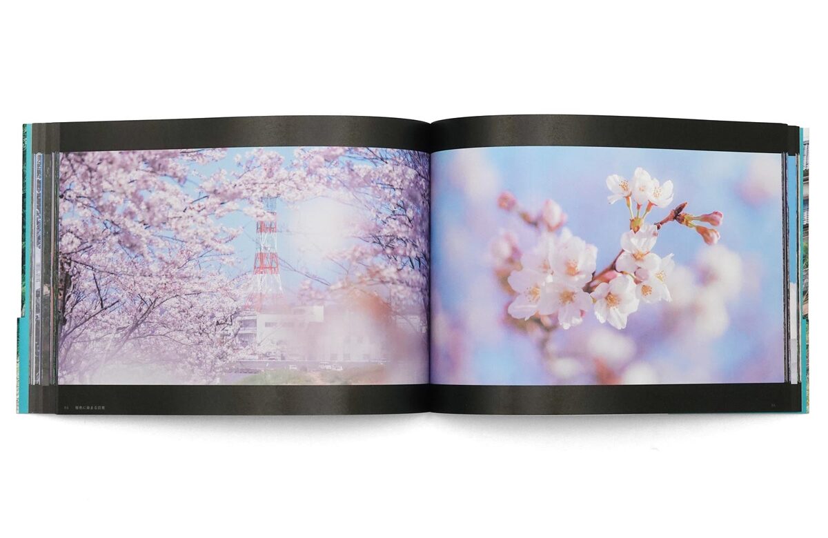 AkineCoco写真作品集 アニメのワンシーンのように。- Akinecoco Shashin Sakuhin Shuu Recollection - Ảnh 4