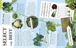 all about evolution (big questions) - Ảnh 3