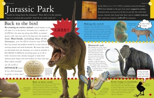 all about evolution (big questions) - Ảnh 5