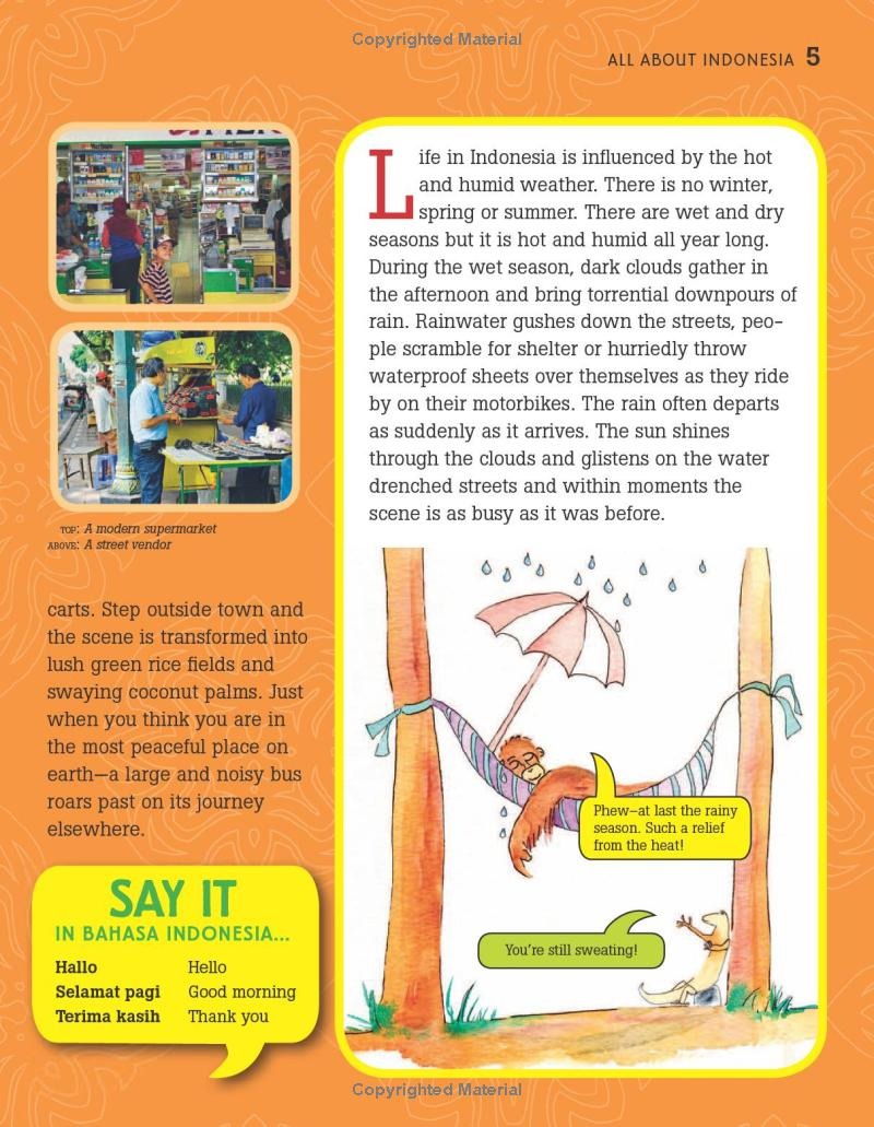 All About Indonesia - Ảnh 13