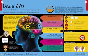 all about your brain (big questions) - Ảnh 2