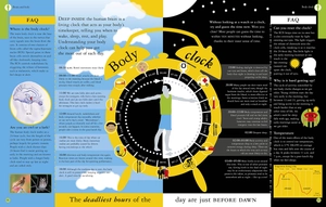 all about your brain (big questions) - Ảnh 3