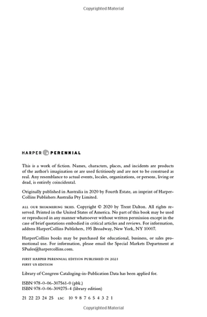 all our shimmering skies - Ảnh 3