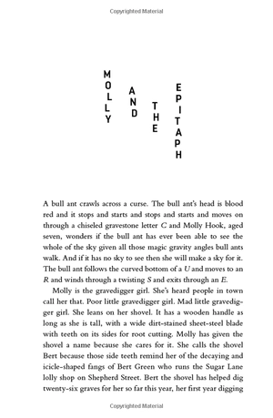 all our shimmering skies - Ảnh 5