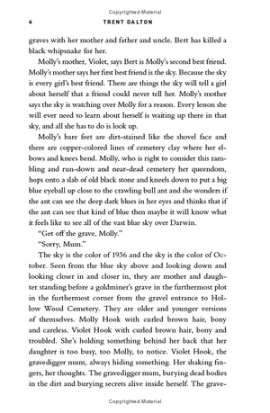 all our shimmering skies - Ảnh 6