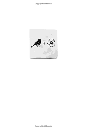 all the bright places - Ảnh 3