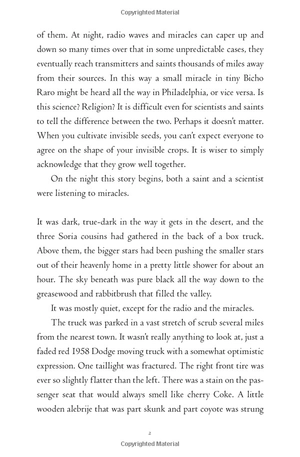 all the crooked saints - Ảnh 4