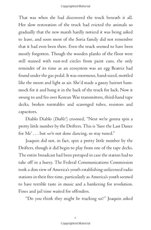 all the crooked saints - Ảnh 8