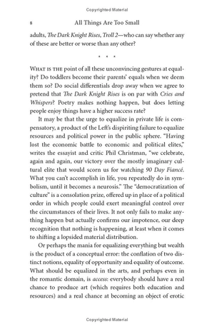 all things are too small - essays in praise of excess - Ảnh 11