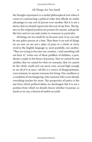 all things are too small - essays in praise of excess - Ảnh 14