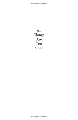 all things are too small - essays in praise of excess - Ảnh 3
