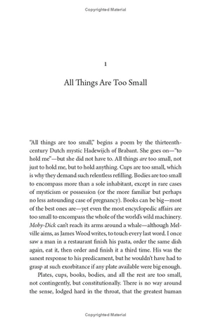 all things are too small - essays in praise of excess - Ảnh 4