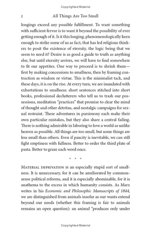 all things are too small - essays in praise of excess - Ảnh 5