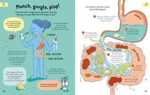 all you need to know about your body by age 7 - Ảnh 4