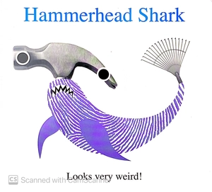 alphaprints: sea life - Ảnh 4